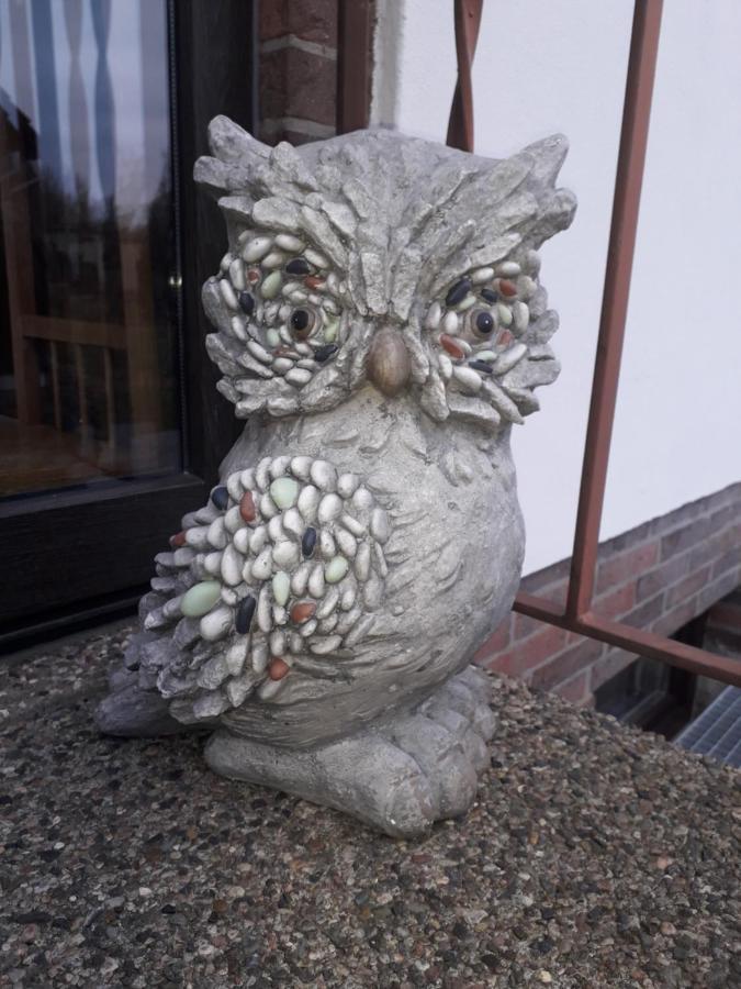 Heidehaus Hodenhagenアパートメント エクステリア 写真